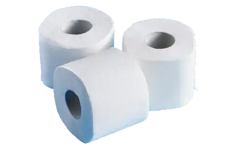 Toaletni papir